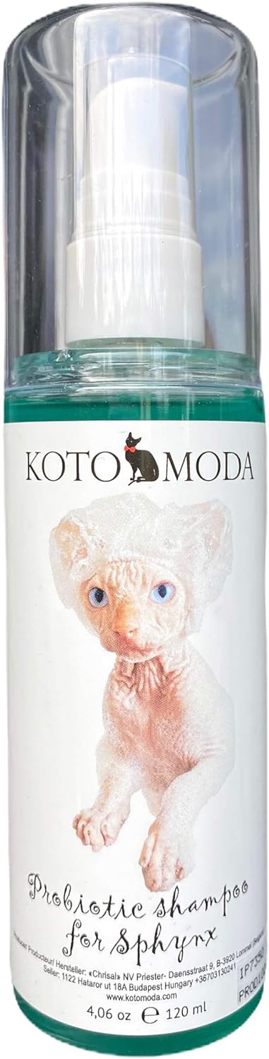 champú para gatos esfinge, gatos egipcios, gatos sphynx