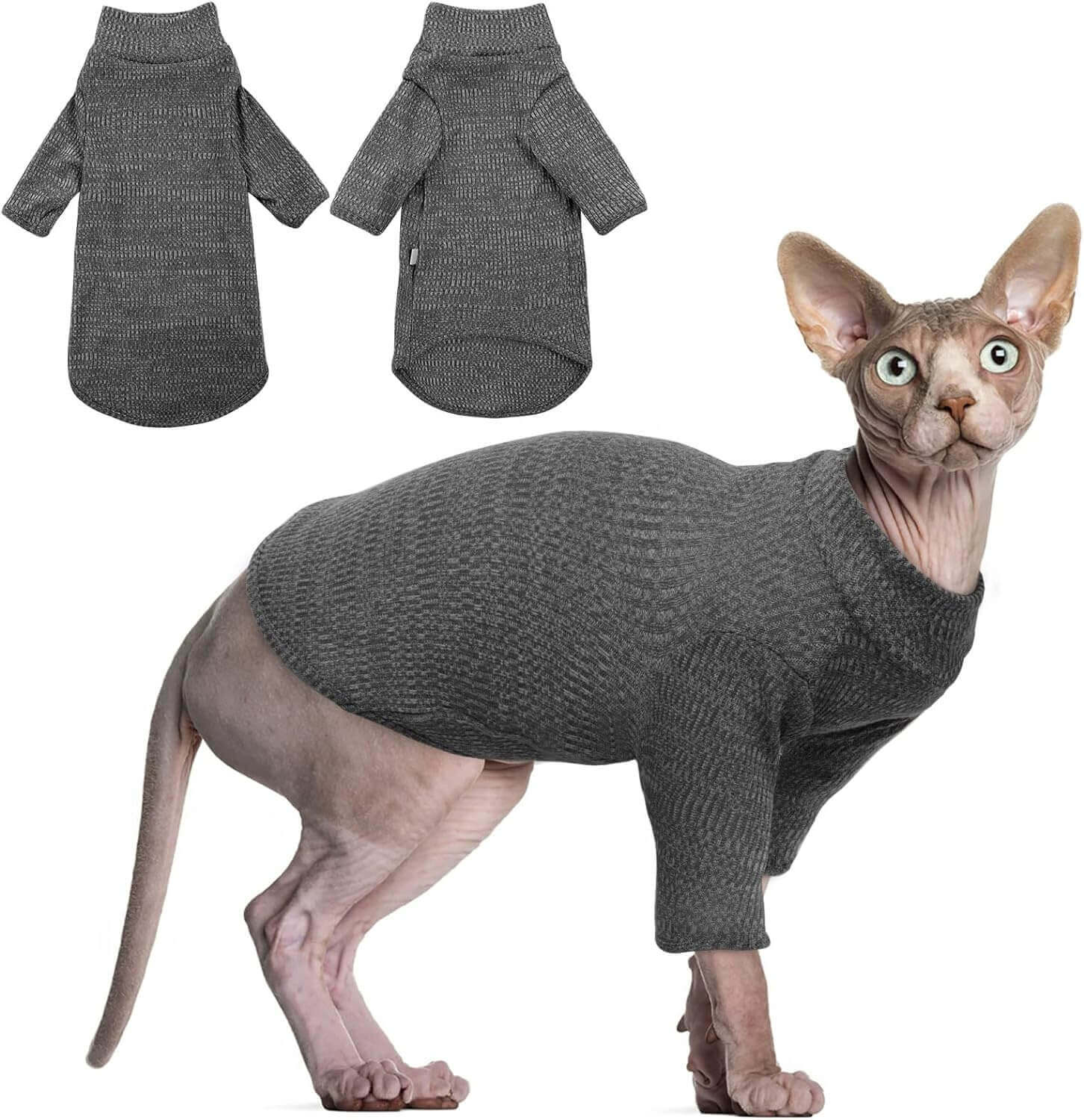 ropa para gatos esfinge ( gato egipcio - gato sphynx)